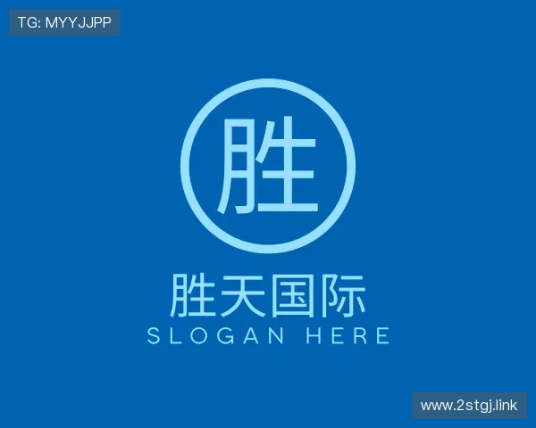 剖析胜天国际